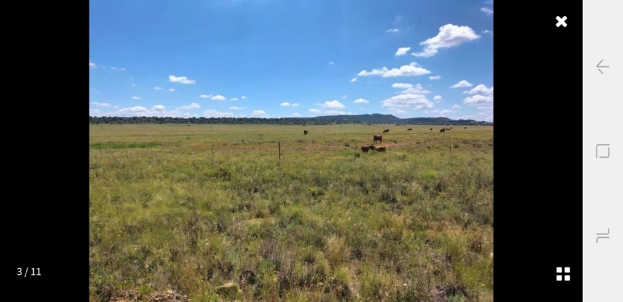 0 Bedroom Property for Sale in Reddersburg Free State